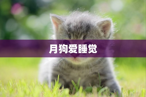 月狗愛睡覺