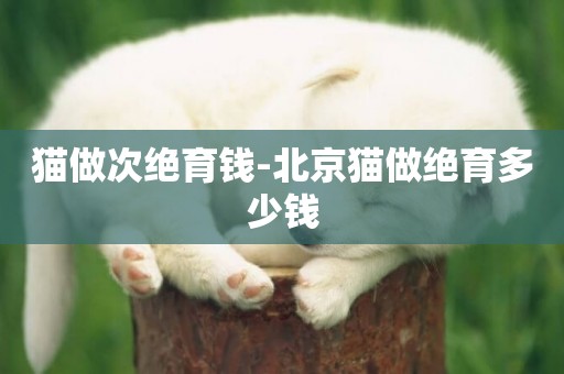 貓做次絕育錢-北京貓做絕育多少錢
