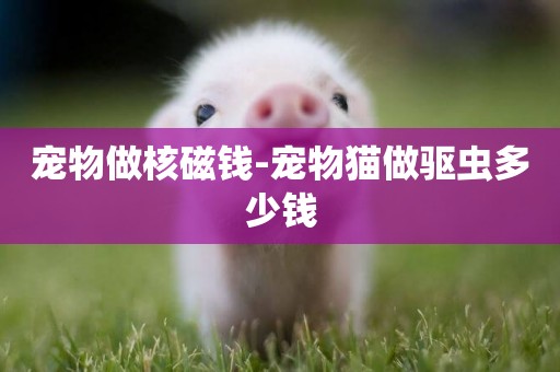 寵物做核磁錢-寵物貓做驅蟲多少錢