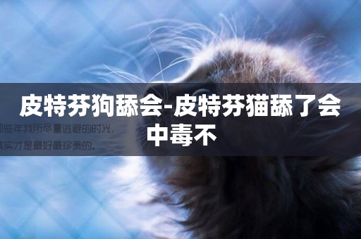 皮特芬狗舔會-皮特芬貓舔了會中毒不
