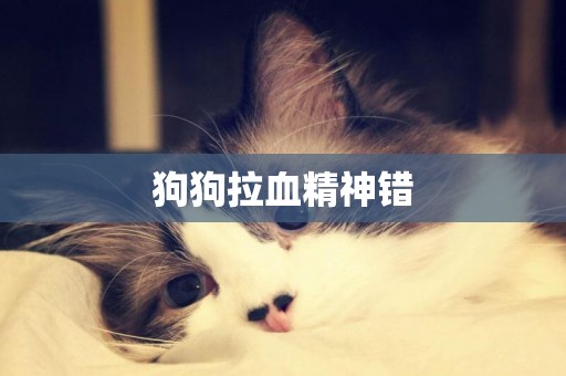 狗狗拉血精神錯