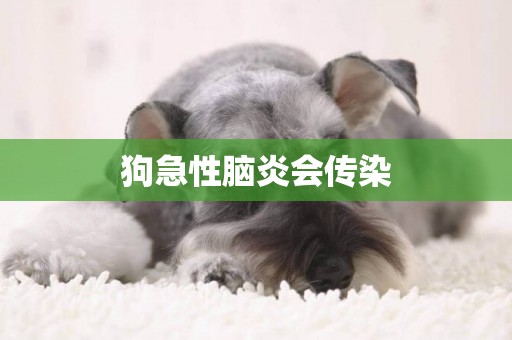 狗急性腦炎會傳染
