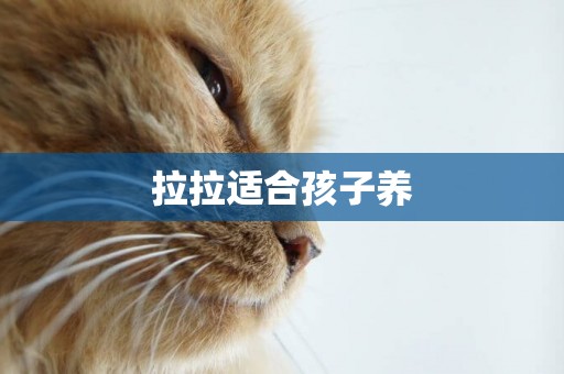 拉拉適合孩子養