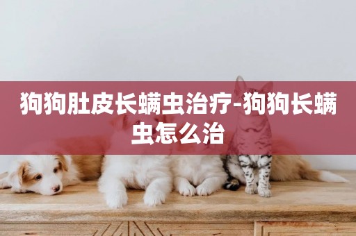 狗狗肚皮長螨蟲治療-狗狗長螨蟲怎么治