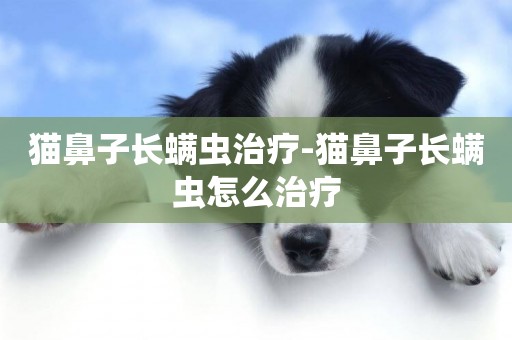 貓鼻子長螨蟲治療-貓鼻子長螨蟲怎么治療