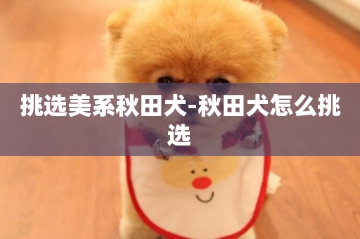 挑選美系秋田犬-秋田犬怎么挑選