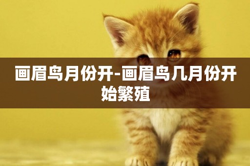 畫眉鳥月份開-畫眉鳥幾月份開始繁殖