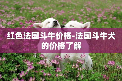 紅色法國斗牛價格-法國斗牛犬的價格了解