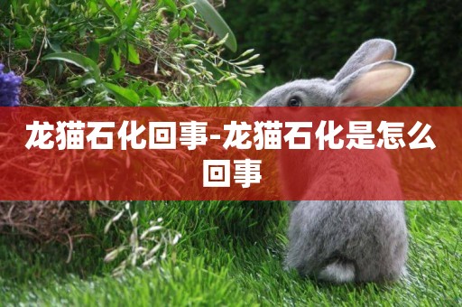龍貓石化回事-龍貓石化是怎么回事