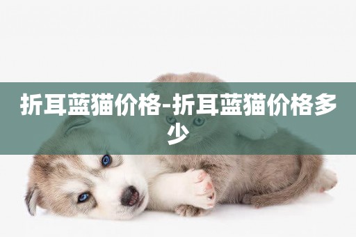 折耳藍貓價格-折耳藍貓價格多少