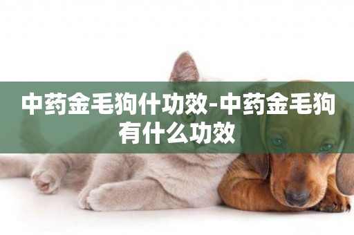 中藥金毛狗什功效-中藥金毛狗有什么功效