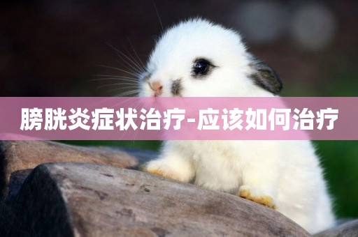 膀胱炎癥狀治療-應該如何治療
