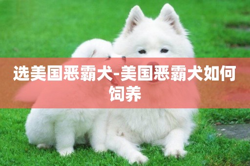 選美國惡霸犬-美國惡霸犬如何飼養