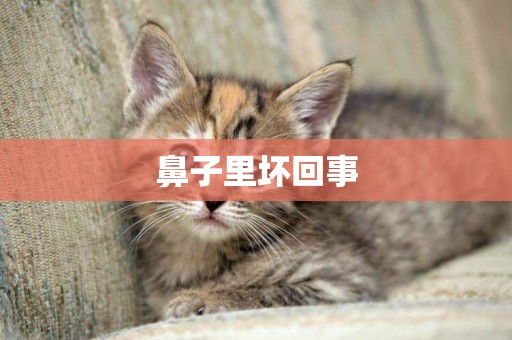 鼻子里壞回事