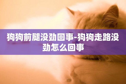 狗狗前腿沒勁回事-狗狗走路沒勁怎么回事