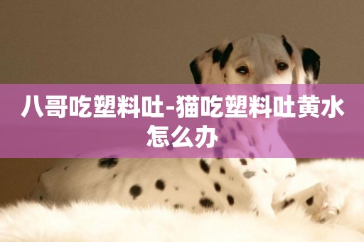 八哥吃塑料吐-貓吃塑料吐黃水怎么辦