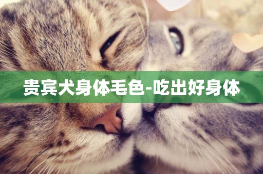 貴賓犬身體毛色-吃出好身體