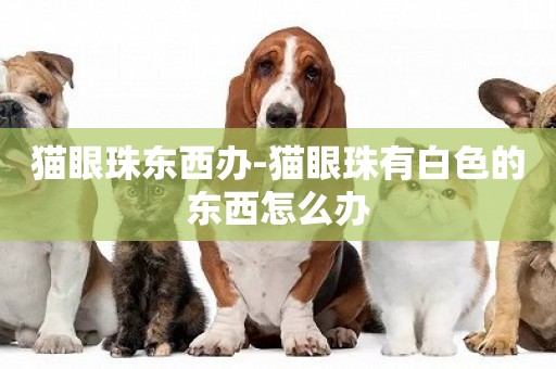 貓眼珠東西辦-貓眼珠有白色的東西怎么辦