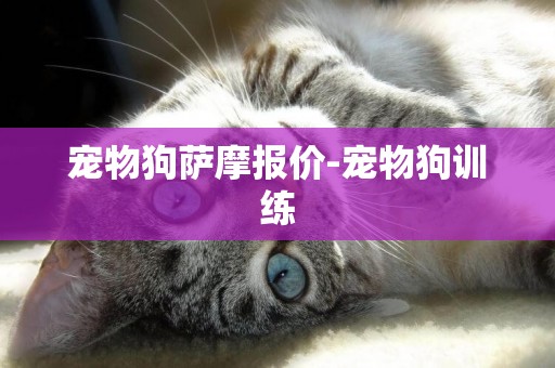 寵物狗薩摩報價-寵物狗訓練