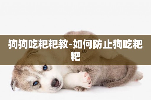狗狗吃粑粑教-如何防止狗吃粑粑
