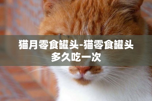 貓月零食罐頭-貓零食罐頭多久吃一次