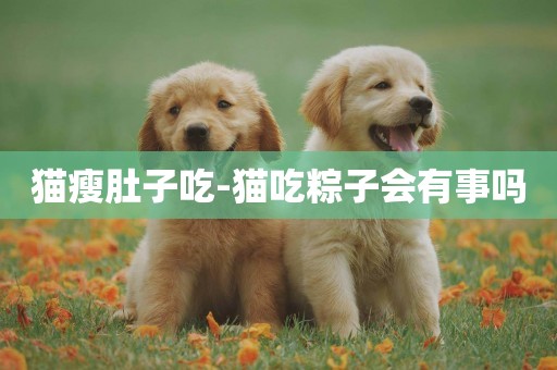 貓瘦肚子吃-貓吃粽子會有事嗎
