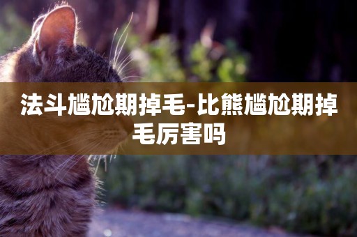 法斗尷尬期掉毛-比熊尷尬期掉毛厲害嗎