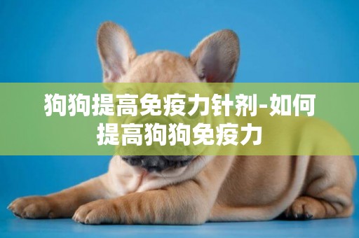 狗狗提高免疫力針劑-如何提高狗狗免疫力