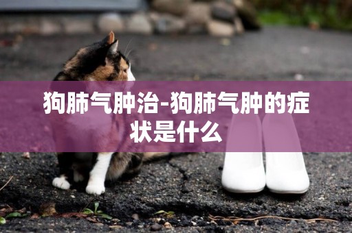 狗肺氣腫治-狗肺氣腫的癥狀是什么