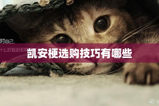 凱安梗選購技巧有哪些