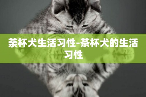 荼杯犬生活習性-茶杯犬的生活習性