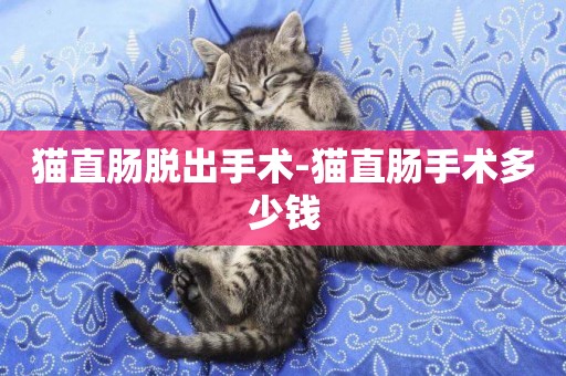 貓直腸脫出手術-貓直腸手術多少錢