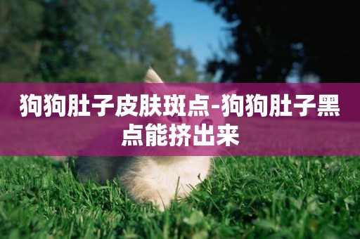 狗狗肚子皮膚斑點-狗狗肚子黑點能擠出來