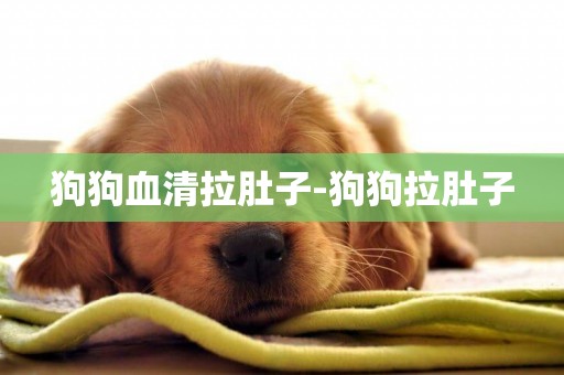 狗狗血清拉肚子-狗狗拉肚子