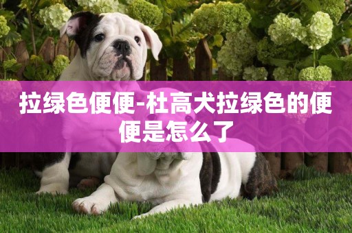拉綠色便便-杜高犬拉綠色的便便是怎么了
