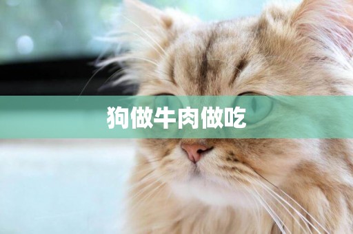 狗做牛肉做吃