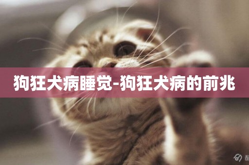 狗狂犬病睡覺-狗狂犬病的前兆