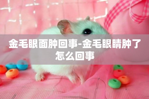 金毛眼面腫回事-金毛眼睛腫了怎么回事