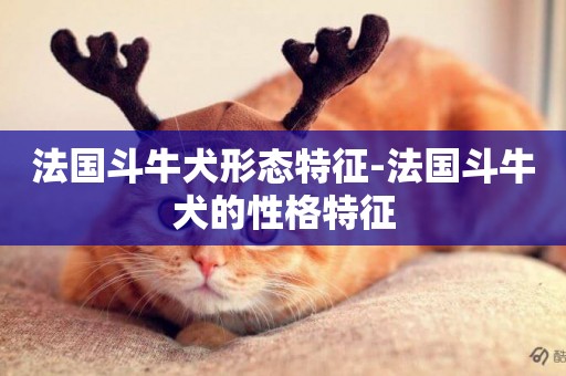 法國斗牛犬形態特征-法國斗牛犬的性格特征