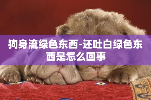 狗身流綠色東西-還吐白綠色東西是怎么回事