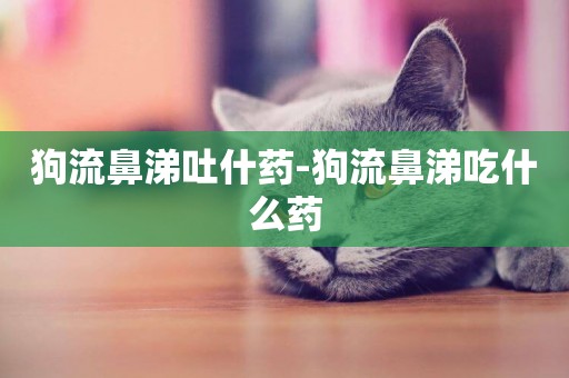 狗流鼻涕吐什藥-狗流鼻涕吃什么藥