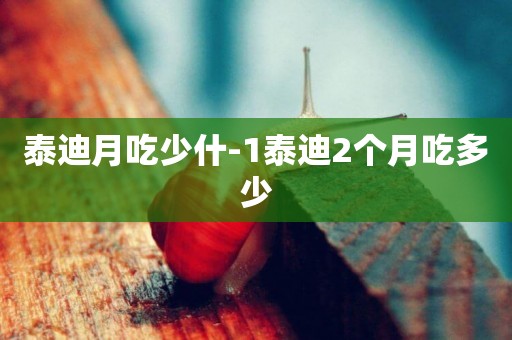 泰迪月吃少什-1泰迪2個月吃多少