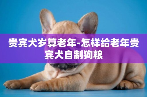貴賓犬歲算老年-怎樣給老年貴賓犬自制狗糧