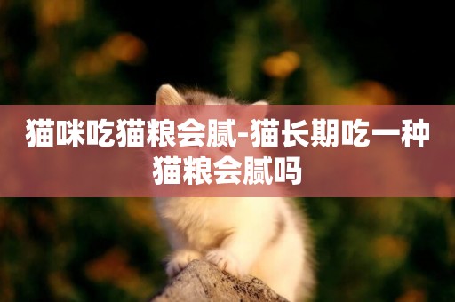 貓咪吃貓糧會膩-貓長期吃一種貓糧會膩嗎