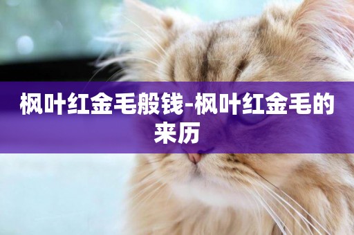 楓葉紅金毛般錢-楓葉紅金毛的來歷