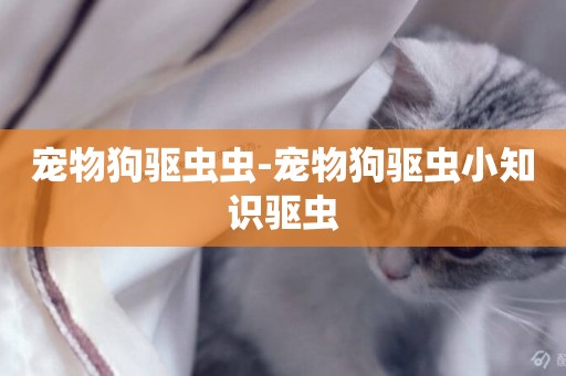 寵物狗驅蟲蟲-寵物狗驅蟲小知識驅蟲