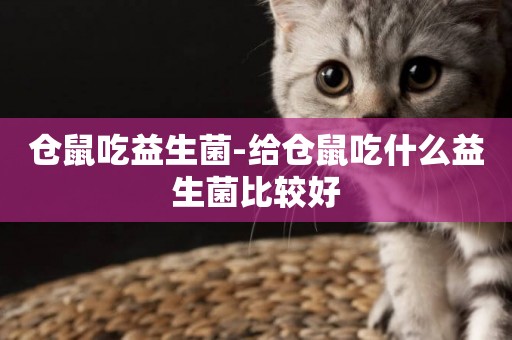 倉鼠吃益生菌-給倉鼠吃什么益生菌比較好
