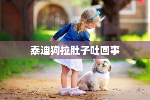泰迪狗拉肚子吐回事