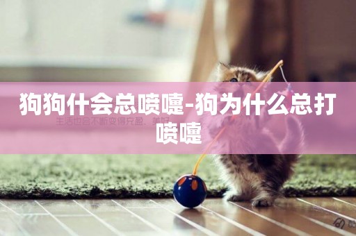 狗狗什會總噴嚏-狗為什么總打噴嚏