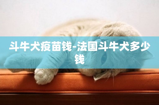 斗牛犬疫苗錢-法國斗牛犬多少錢